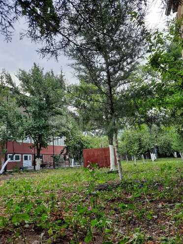 3 otaqlı həyət evi/bağ evi - Şəki - 120 m² (12)