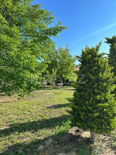 5 otaqlı həyət evi/bağ evi - Mərdəkan q. - 400 m² (15)