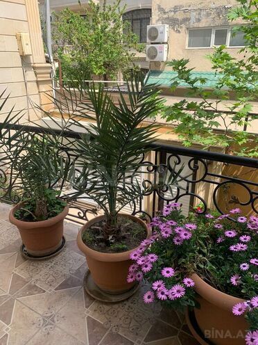 14 otaqlı həyət evi/bağ evi - Gənclik m. - 580 m² (5)