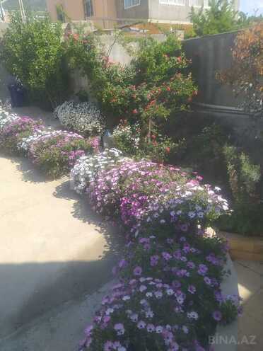 7 otaqlı həyət evi/bağ evi - Şıxov q. - 430 m² (5)