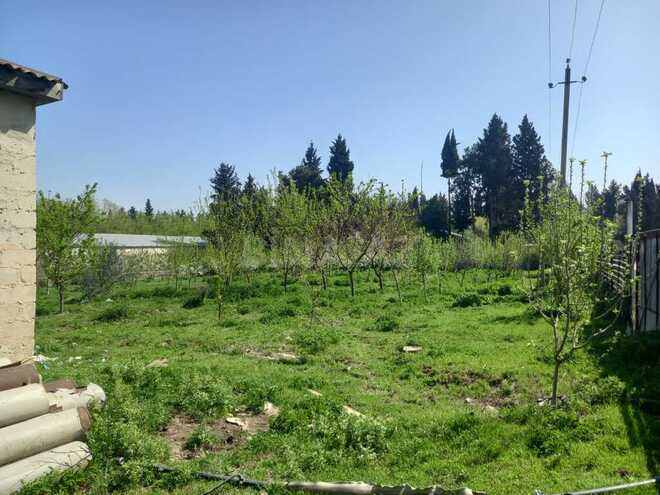Объект - Товуз - 175 м² (5)