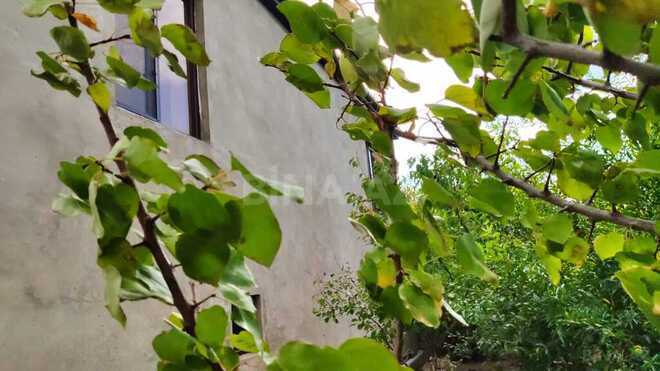 9-комн. дом/дача - пос. Сарай - 268 м² (25)
