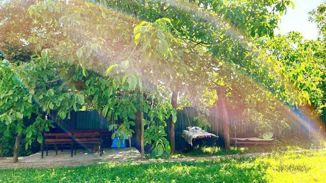 Сдаётся 3-комн. дом/дача 80 м², photo 18 from 21