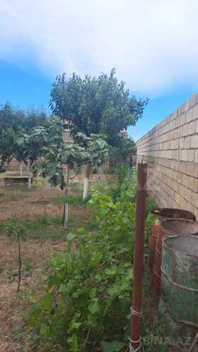 7 otaqlı həyət evi/bağ evi - Aşağı Güzdək q. - 320 m² (30)