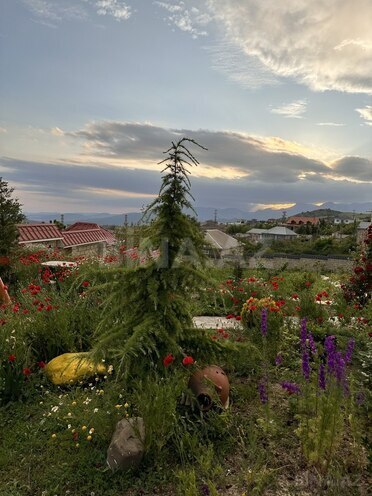 6 otaqlı həyət evi/bağ evi - Şamaxı - 168 m² (5)