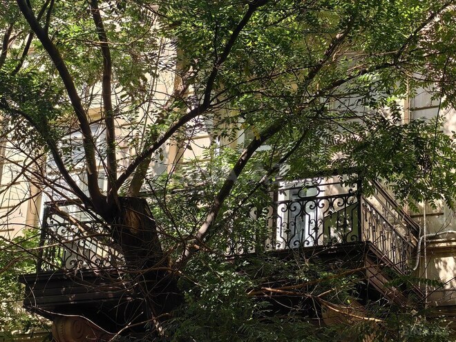 Продаётся 4-комн. вторичка 130 м², м. Сахил, photo 29 from 31