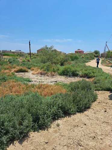 Продаётся  участок 100 сот, пос. Аляты, photo 14 from 15