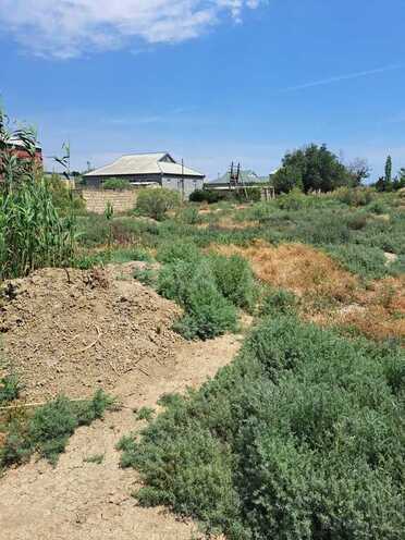 Продаётся  участок 100 сот, пос. Аляты, photo 8 from 15