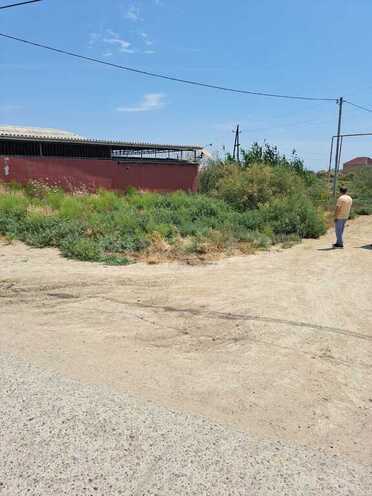 Продаётся  участок 100 сот, пос. Аляты, photo 13 from 15