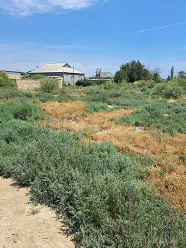 Продаётся  участок 100 сот, пос. Аляты, photo 12 from 15