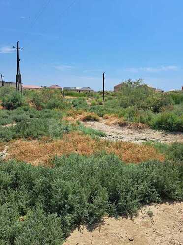 Продаётся  участок 100 сот, пос. Аляты, photo 9 from 15