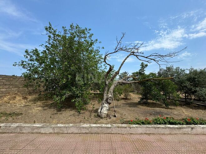 Продаётся  участок 14 сот, пос. Шувеляны, photo 9 from 14