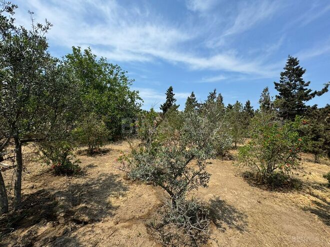 Продаётся  участок 14 сот, пос. Шувеляны, photo 5 from 14