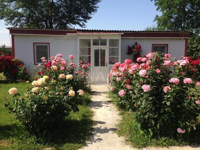 10 otaqlı həyət evi/bağ evi - Xudat - 500 m² (4)