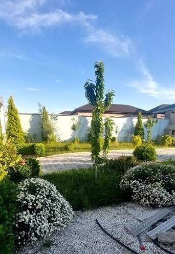 5 otaqlı həyət evi/bağ evi - Nardaran q. - 170 m² (10)