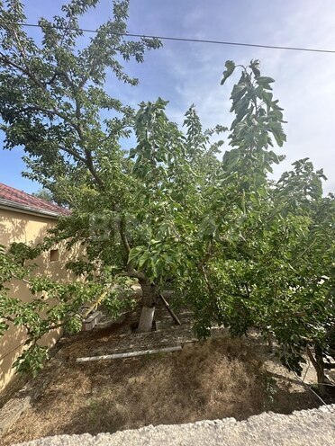 Продаётся  участок 18 сот, пос. Мардакан, photo 5 from 15