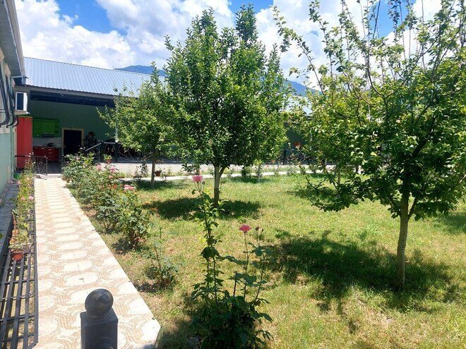 4 otaqlı həyət evi/bağ evi - Qəbələ - 150 m² (26)