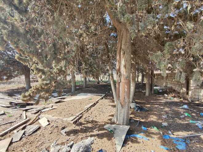 Продаётся  участок 17 сот, пос. Горадил, photo 4 from 11