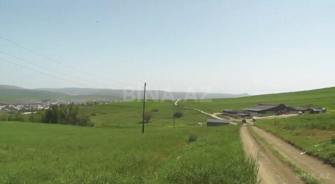 Obyekt - Şamaxı - 3000 m² (3)