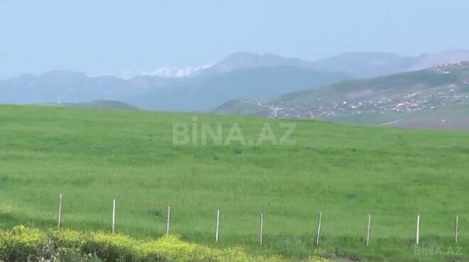 Obyekt - Şamaxı - 3000 m² (4)