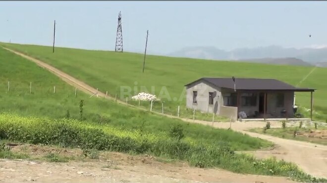 Obyekt - Şamaxı - 3000 m² (5)