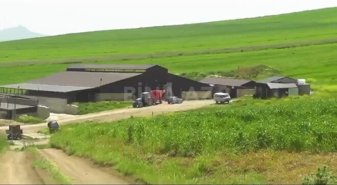 Obyekt - Şamaxı - 3000 m² (2)