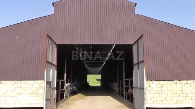 Obyekt - Şamaxı - 3000 m² (1)