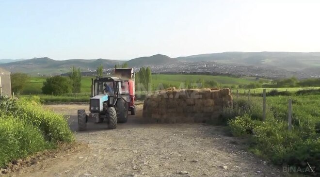 Obyekt - Şamaxı - 3000 m² (7)