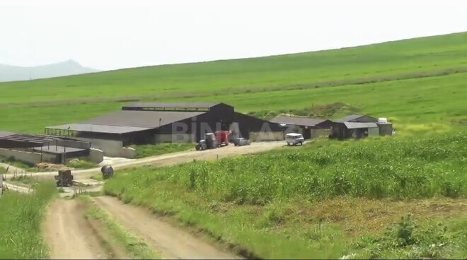 Obyekt - Şamaxı - 3000 m² (25)