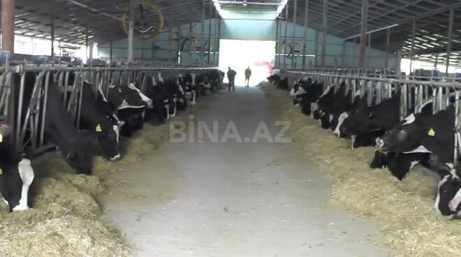 Obyekt - Şamaxı - 3000 m² (23)