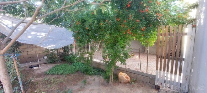 Продаётся 4-комн. дом/дача 120 м², пос. Биладжары, photo 10 from 15