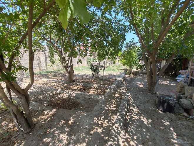 4 otaqlı həyət evi/bağ evi - Buzovna q. - 135 m² (7)