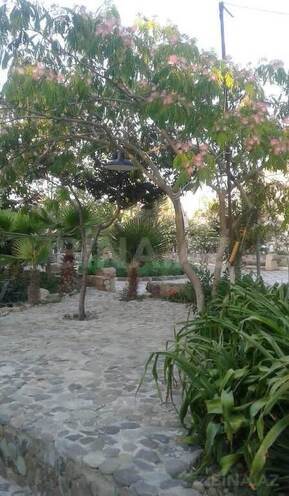 5 otaqlı həyət evi/bağ evi - Zuğulba q. - 340 m² (4)
