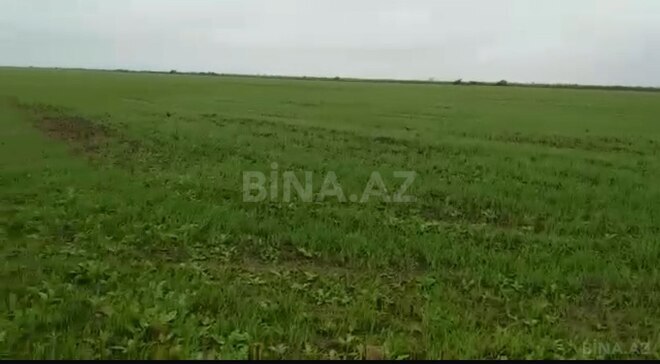 Satılır  torpaq 2 000 sot, photo 4 from 6