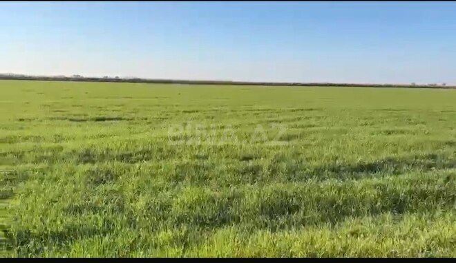 Satılır  torpaq 2 000 sot, photo 5 from 6