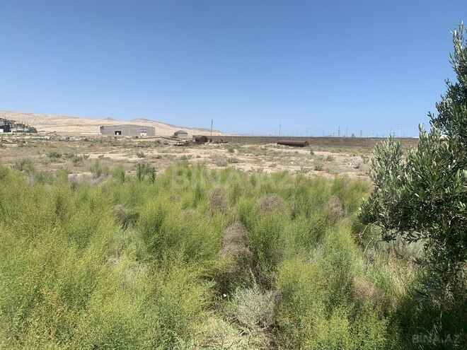 Продаётся  участок 700 сот, Гарадагский р., photo 4 from 11