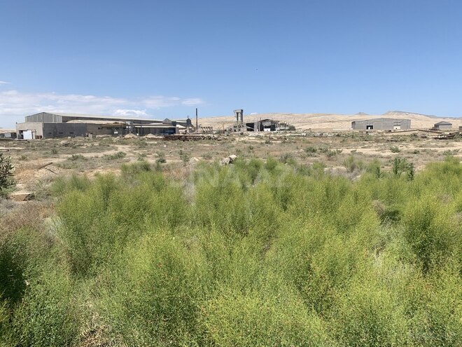 Продаётся  участок 700 сот, Гарадагский р., photo 3 from 11