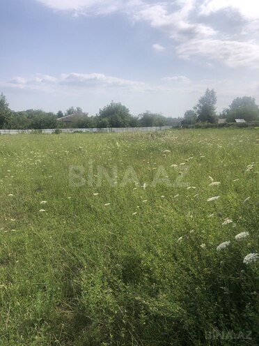 Участок - Габала - 52 сот (6)