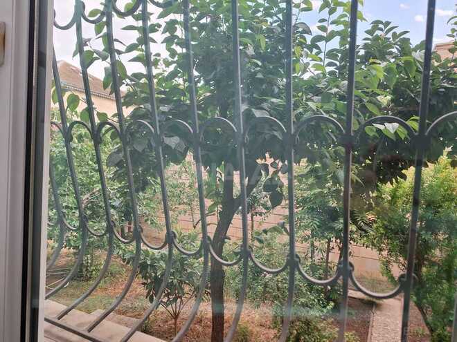 9 otaqlı həyət evi/bağ evi - Nəsimi m. - 380 m² (13)