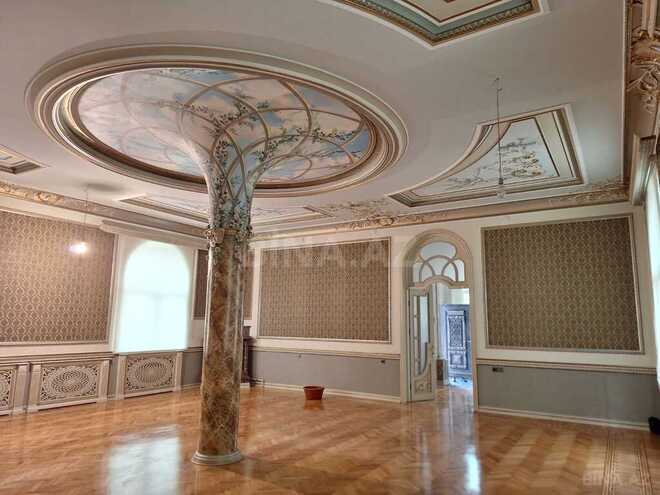 9 otaqlı həyət evi/bağ evi - Nəsimi m. - 380 m² (15)