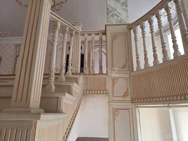 9 otaqlı həyət evi/bağ evi - Nəsimi m. - 380 m² (22)