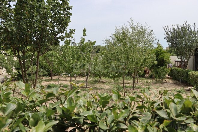 3 otaqlı həyət evi/bağ evi - Nardaran q. - 140 m² (5)