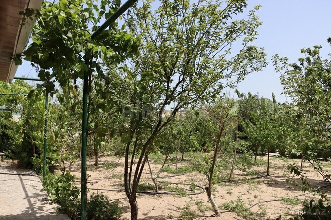3 otaqlı həyət evi/bağ evi - Nardaran q. - 140 m² (11)