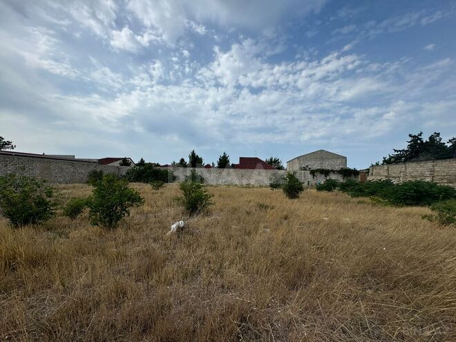 Продаётся  участок 30 сот, пос. Шувеляны, photo 7 from 8