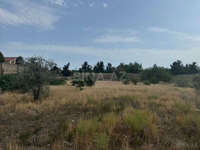 Продаётся  участок 30 сот, пос. Шувеляны, photo 4 from 8