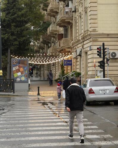 6 otaqlı həyət evi/bağ evi - Yasamal q. - 450 m² (9)