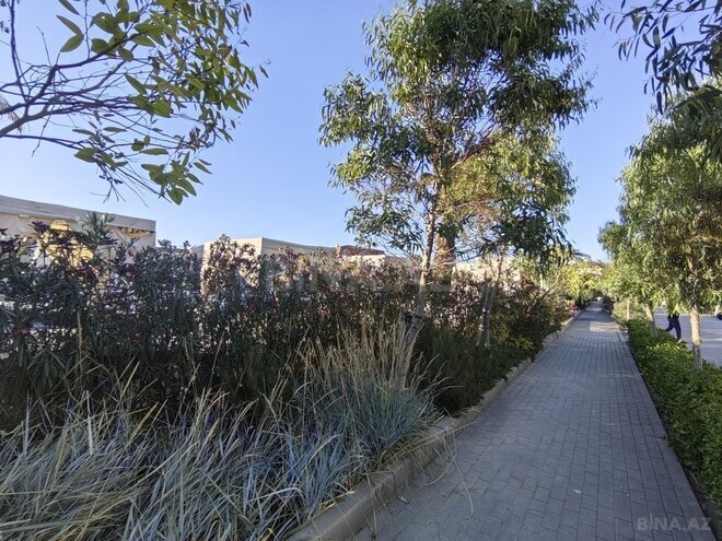 Продаётся  участок 50 сот, пос. Нардаран, photo 12 from 13