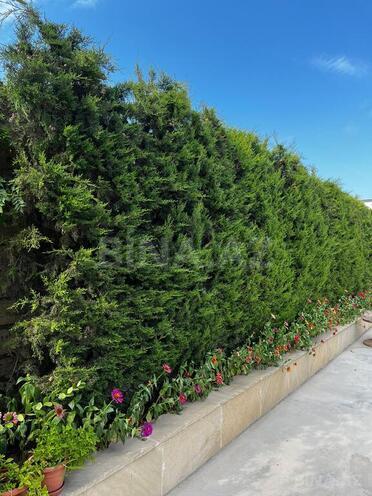 4-комн. дом/дача - пос. Вишнёвка - 260 м² (9)