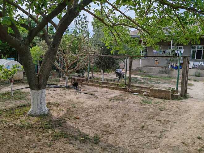 4 otaqlı həyət evi/bağ evi - Buzovna q. - 140 m² (12)