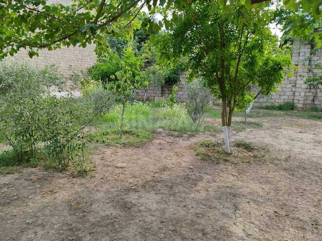 4 otaqlı həyət evi/bağ evi - Buzovna q. - 140 m² (13)
